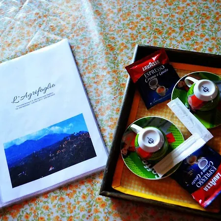 L'agrifoglio * Montefalcione